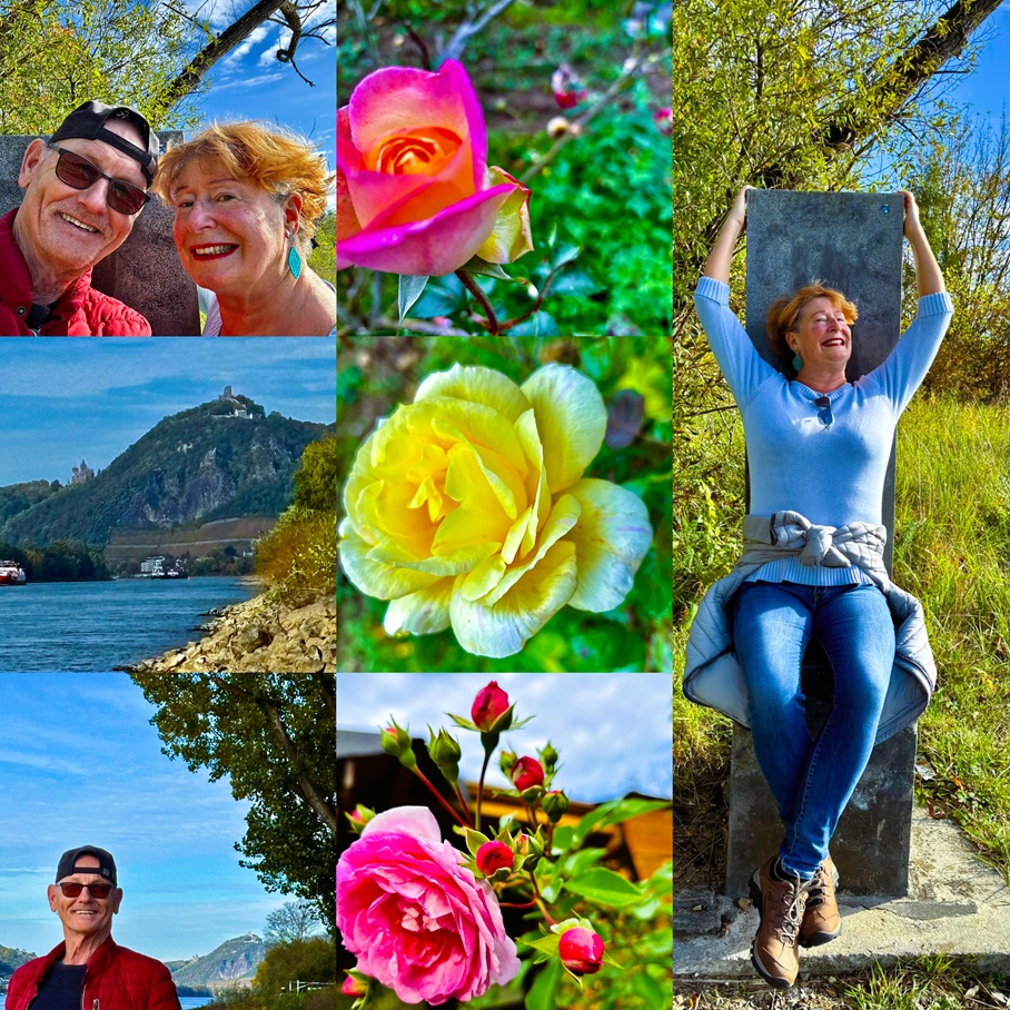 Am Rhein